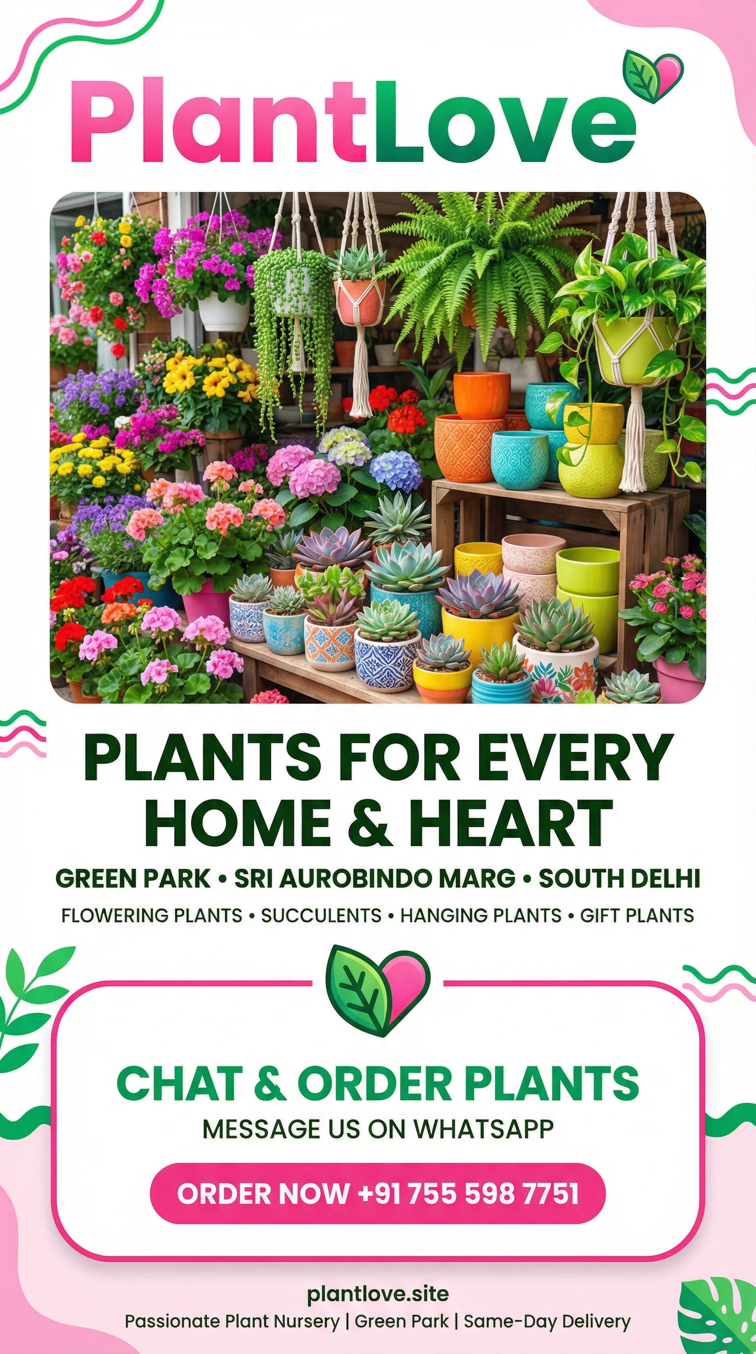 PlantLove Flowering Plants Succulents Green Park New Delhi